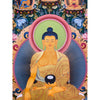 Shakyamuni Buddha Thangka