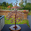 Rose Quartz Happiness Tree Of Life