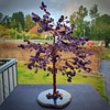 Amethyst Calming Tree Of Life