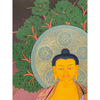 Shakyamuni Buddha Thangka